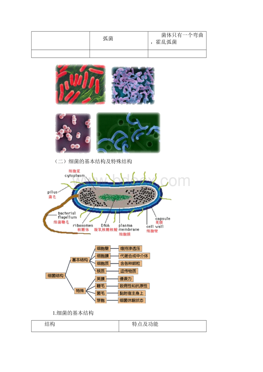 主管药师考试辅导基础知识微生物学讲义.docx_第3页