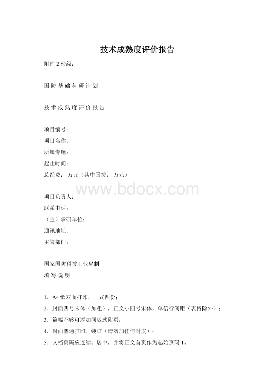 技术成熟度评价报告Word格式文档下载.docx