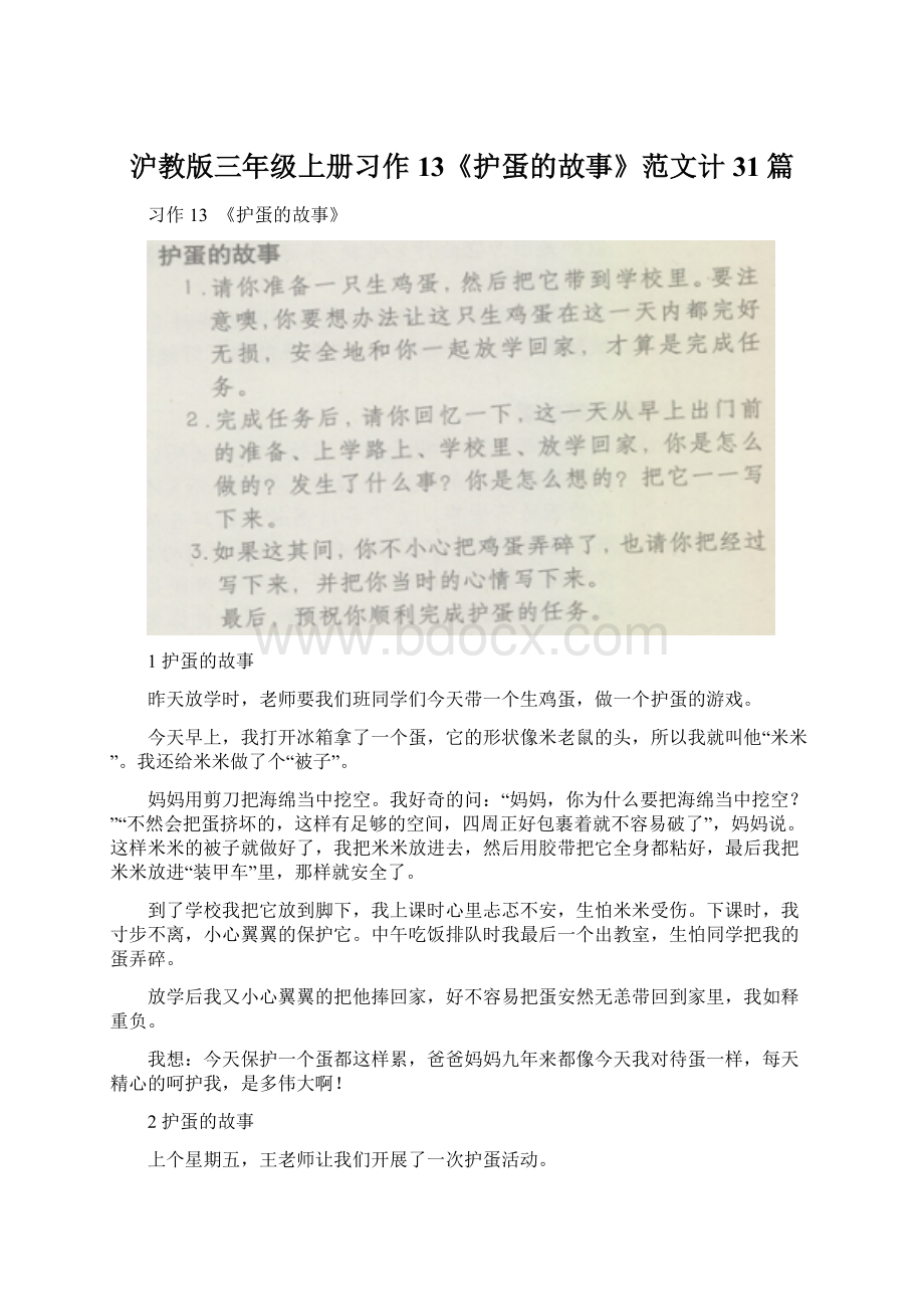 沪教版三年级上册习作13《护蛋的故事》范文计31篇.docx_第1页