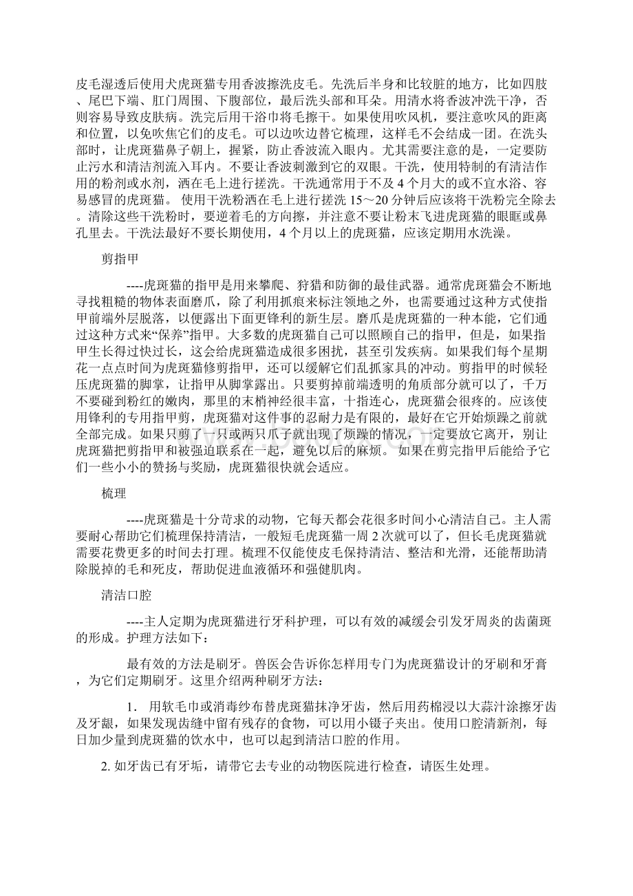 美短虎斑猫的习性及饲养方法.docx_第3页