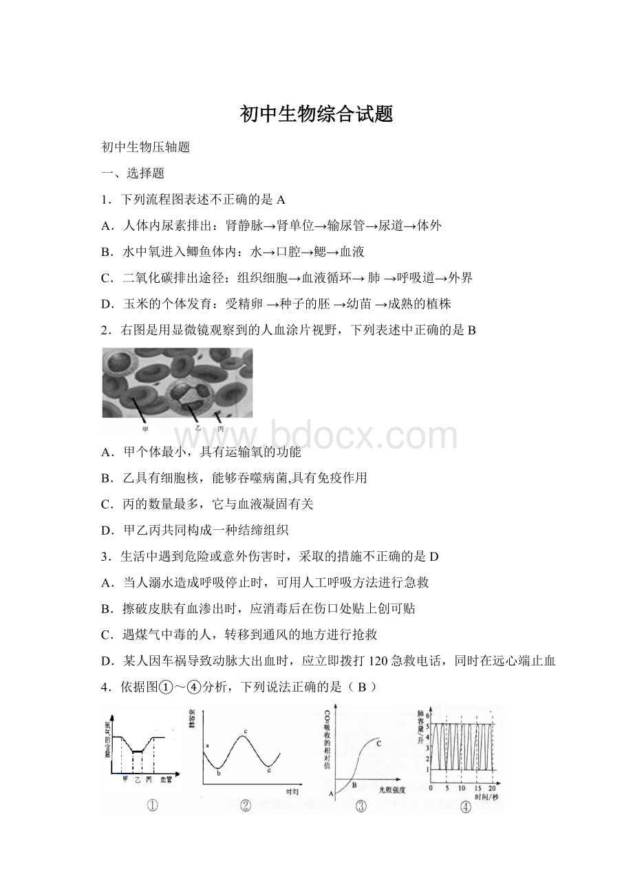 初中生物综合试题Word格式.docx_第1页