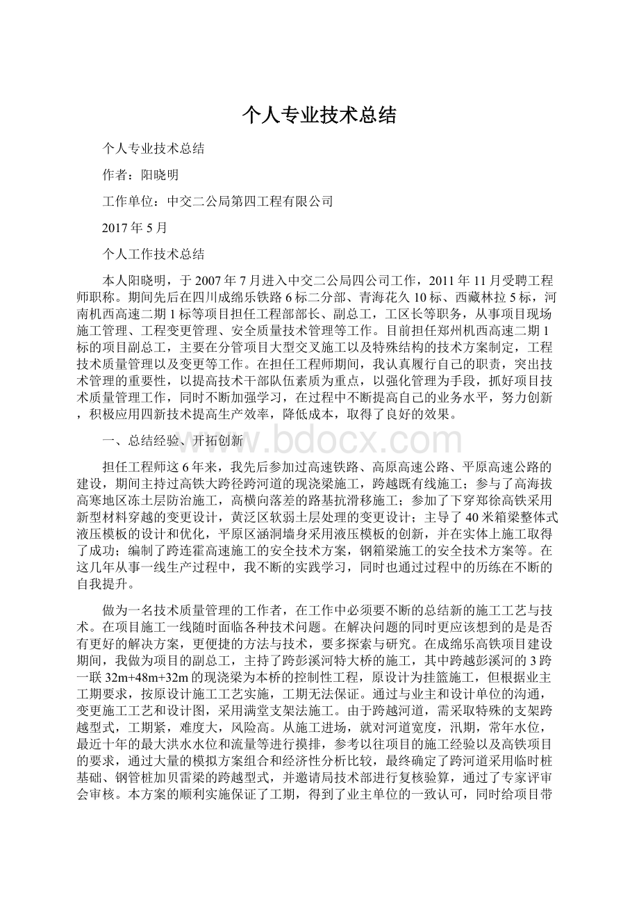 个人专业技术总结.docx_第1页