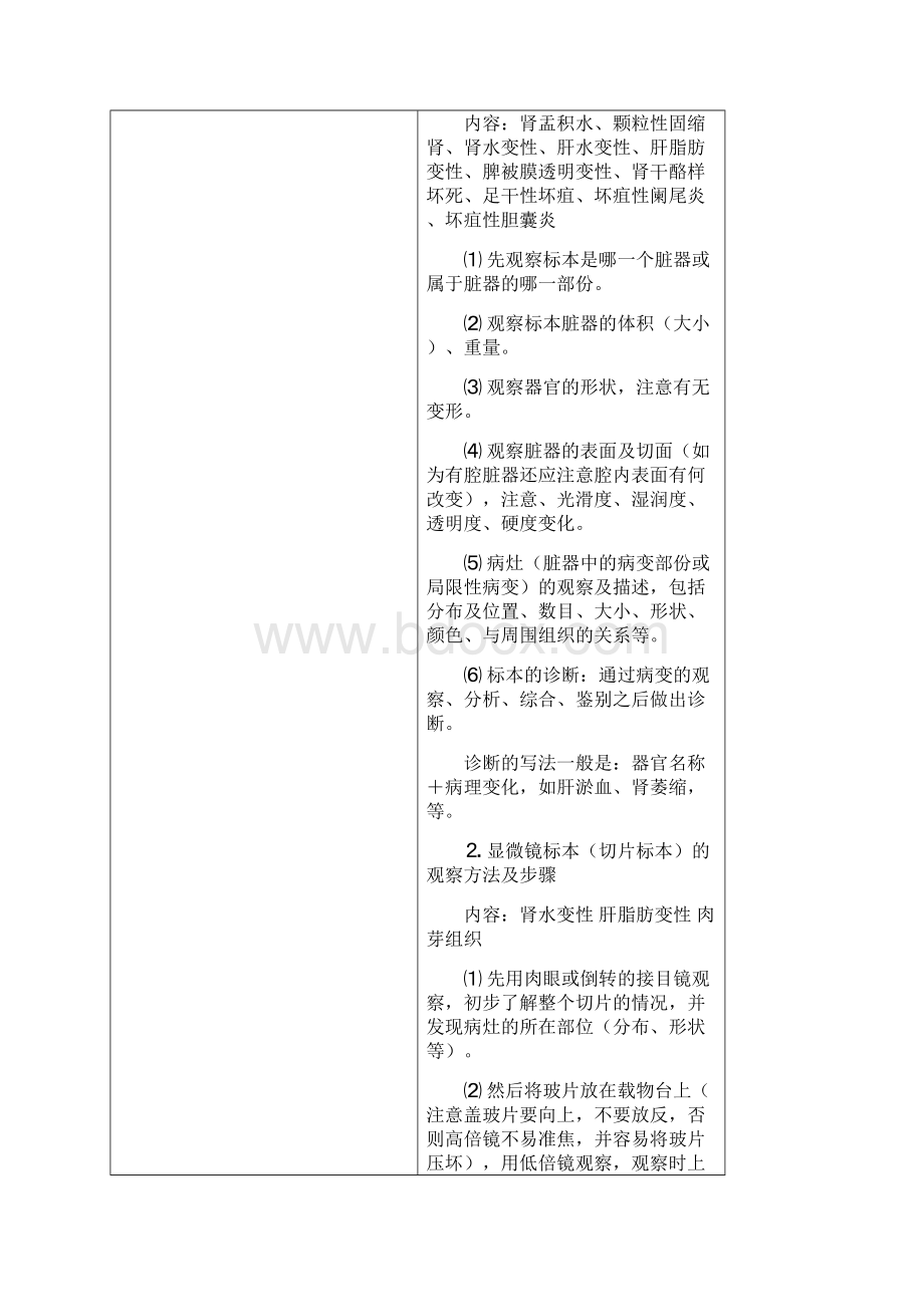 Brmgya河南大学医学院病理实验教案Word格式文档下载.docx_第3页