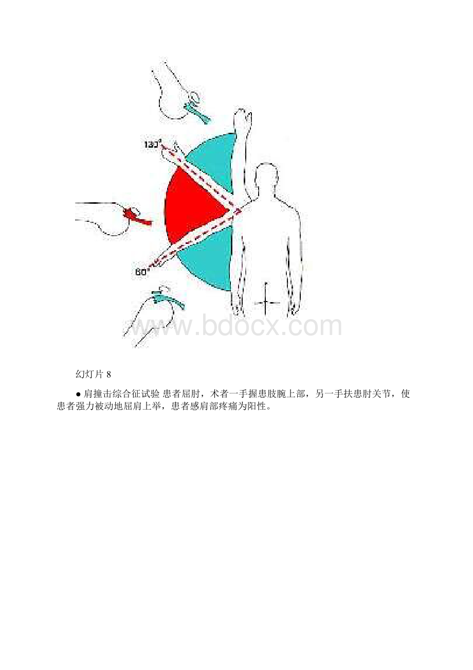 肩部理学检查Word文档格式.docx_第3页