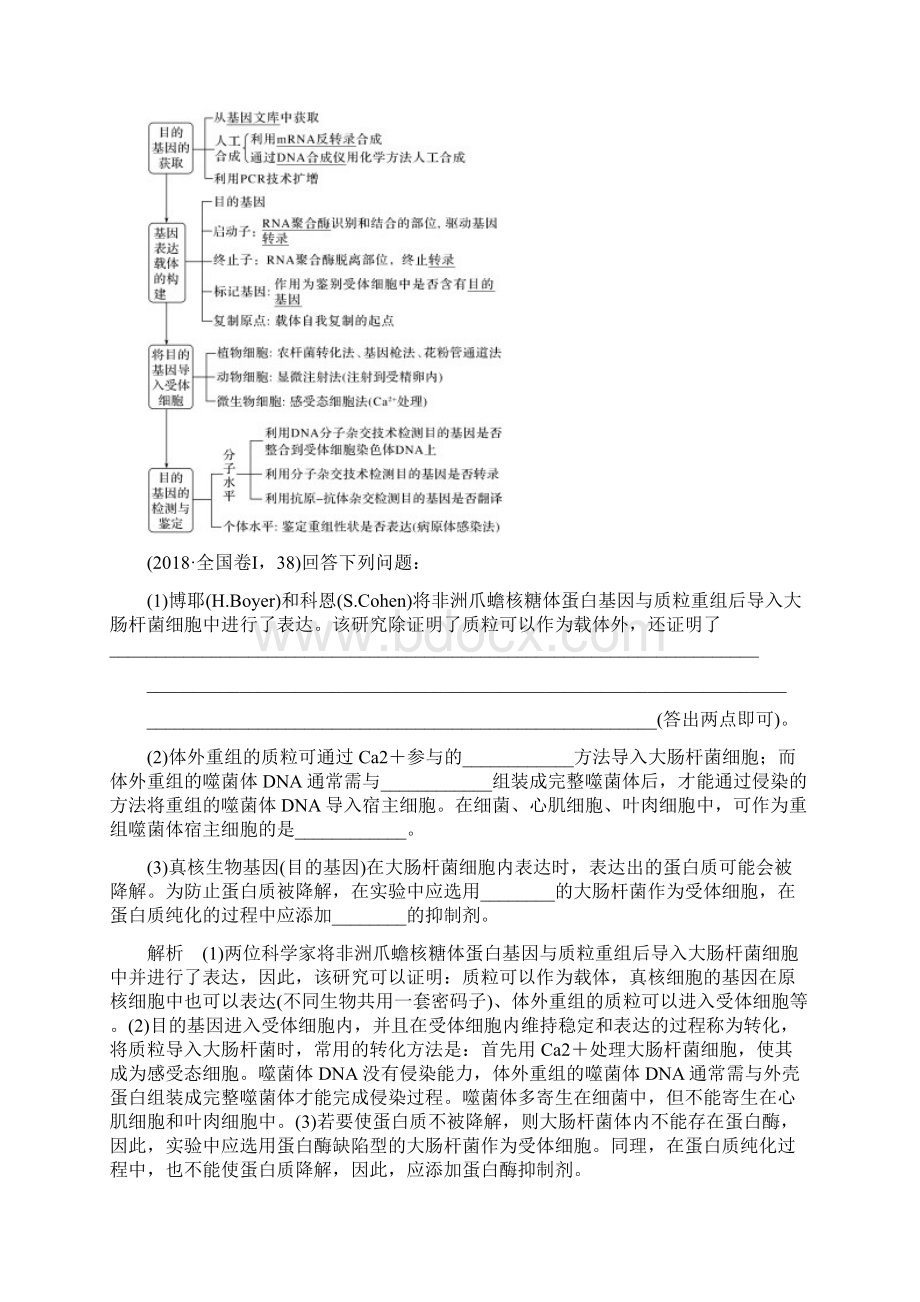 高考生物总复习第31讲基因工程教案选修3Word格式文档下载.docx_第3页