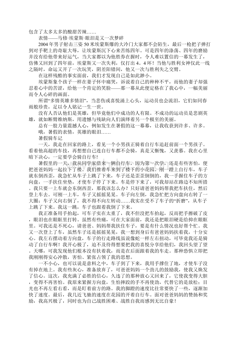 暑假作文精选范文6篇Word格式文档下载.docx_第2页