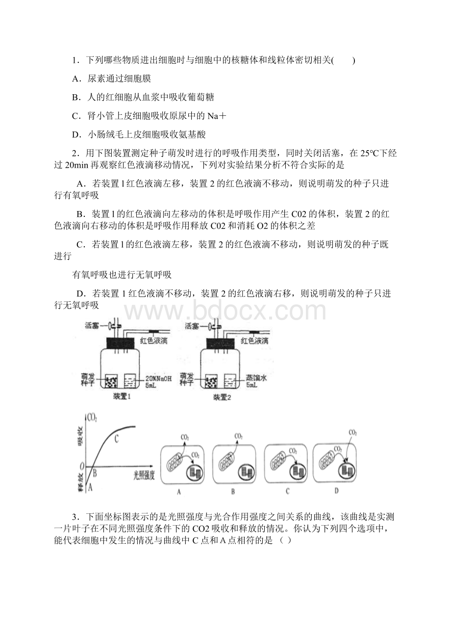 高一上学期期末考试生物.docx_第3页