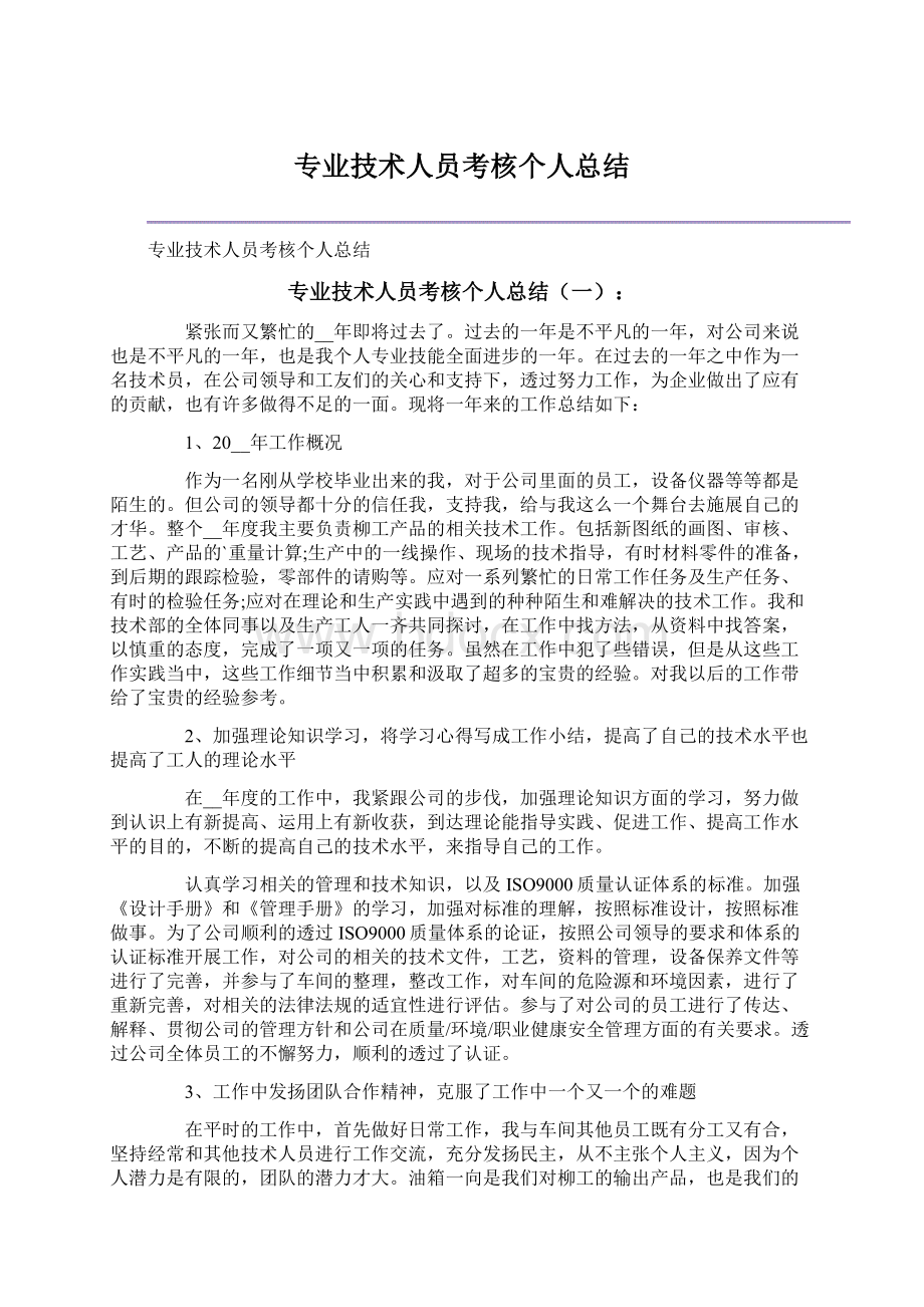 专业技术人员考核个人总结文档格式.docx