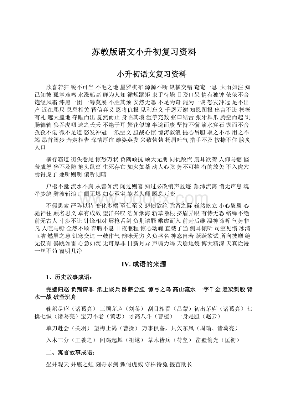 苏教版语文小升初复习资料Word格式文档下载.docx