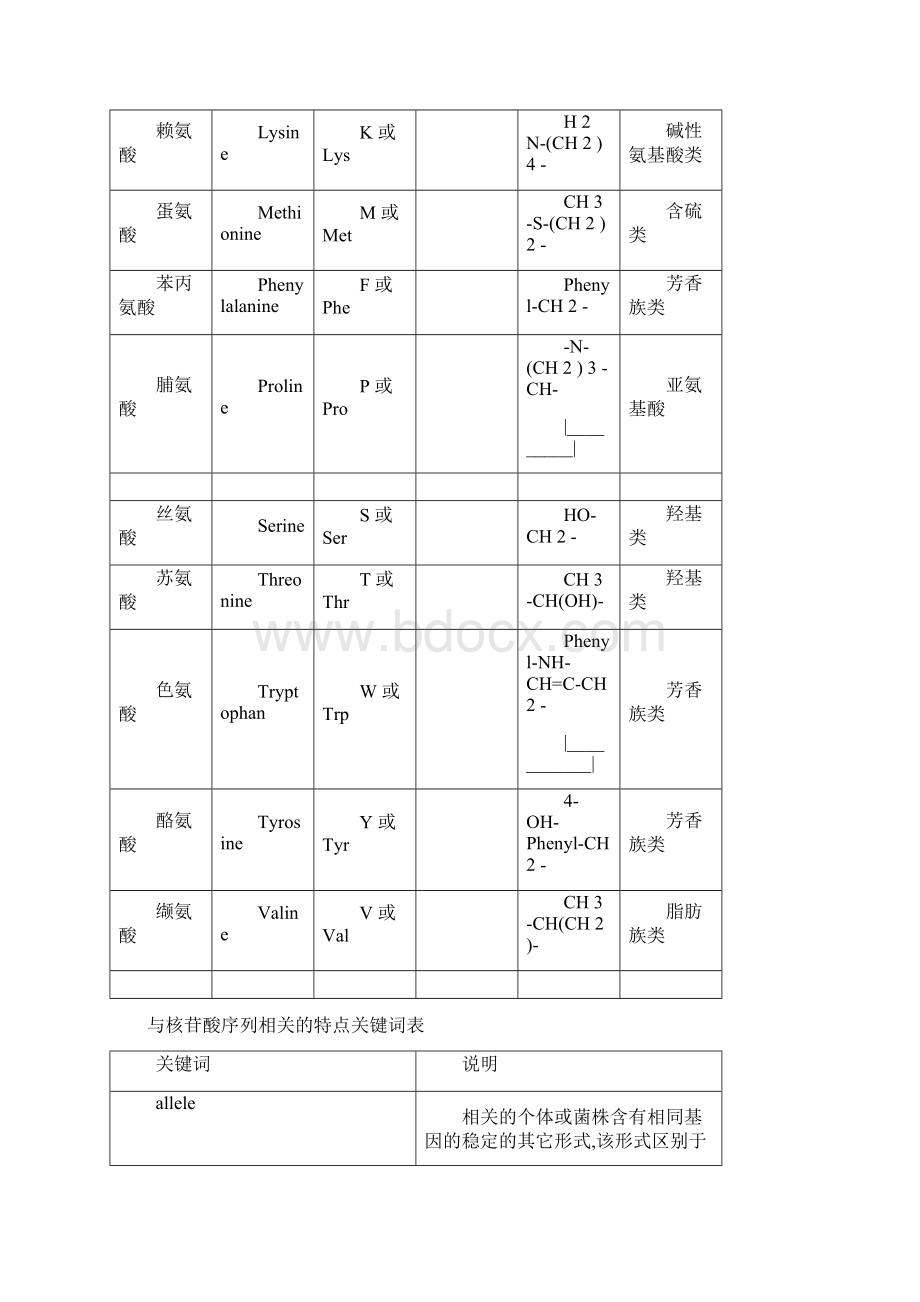 氨基酸密码子对照表Word格式文档下载.docx_第2页