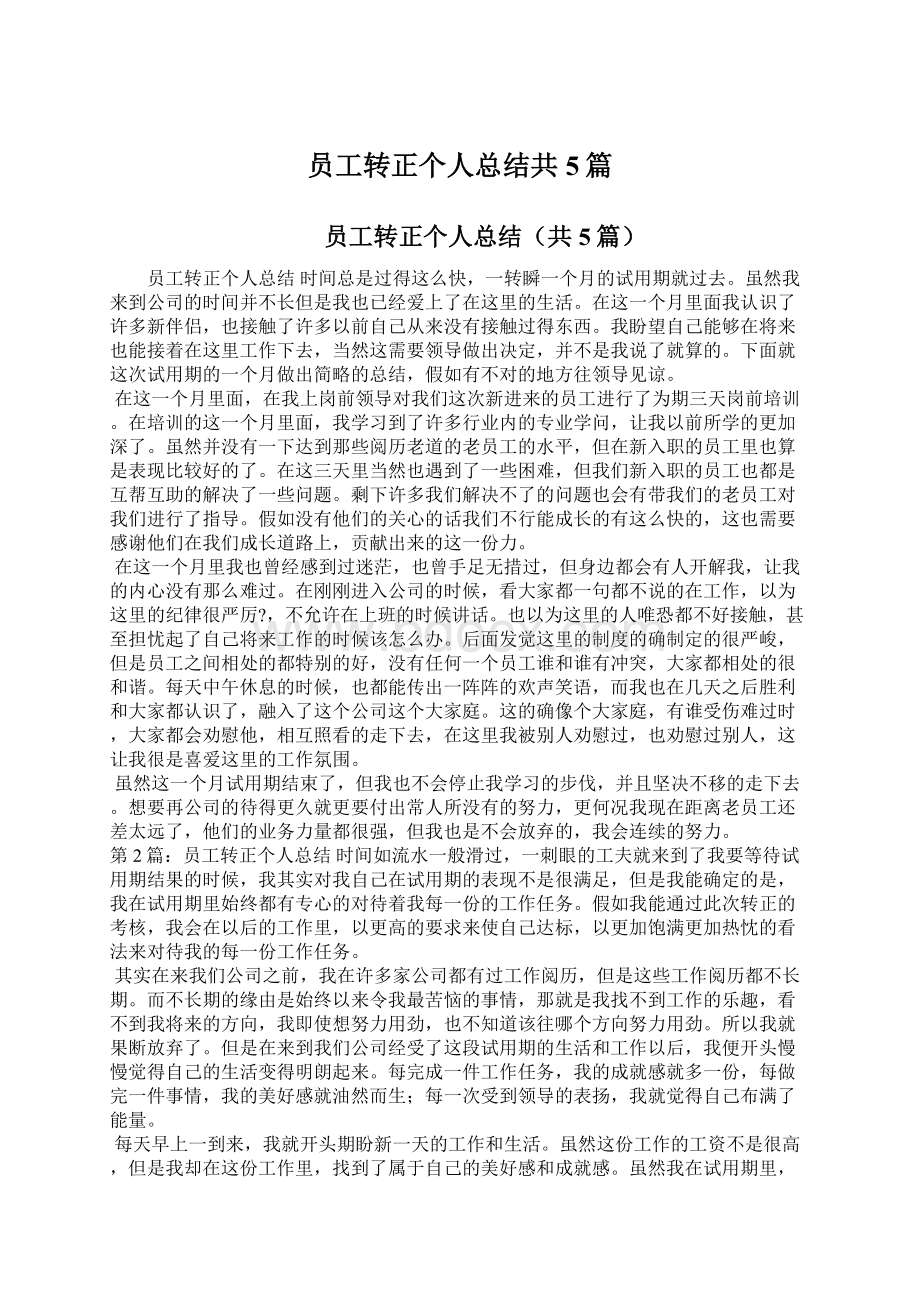 员工转正个人总结共5篇.docx