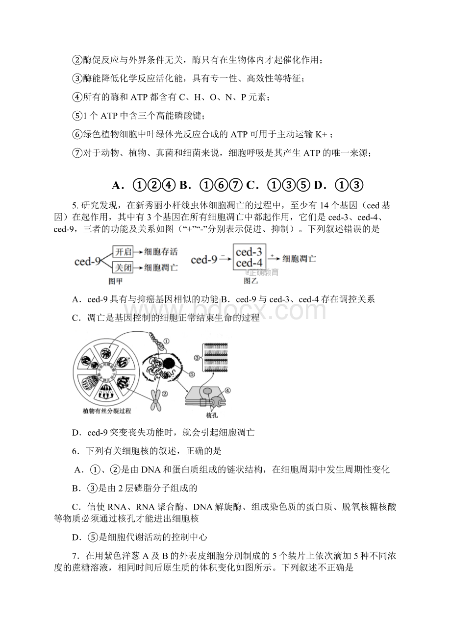 高三河北省鸡泽县届高三生物上学期第三次周测试题含答案.docx_第2页