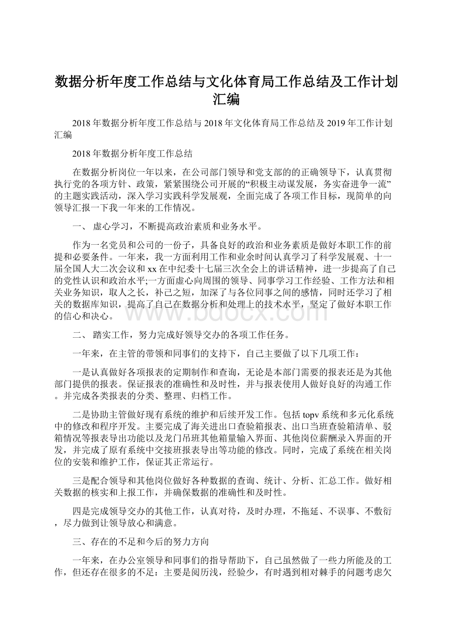 数据分析年度工作总结与文化体育局工作总结及工作计划汇编.docx_第1页