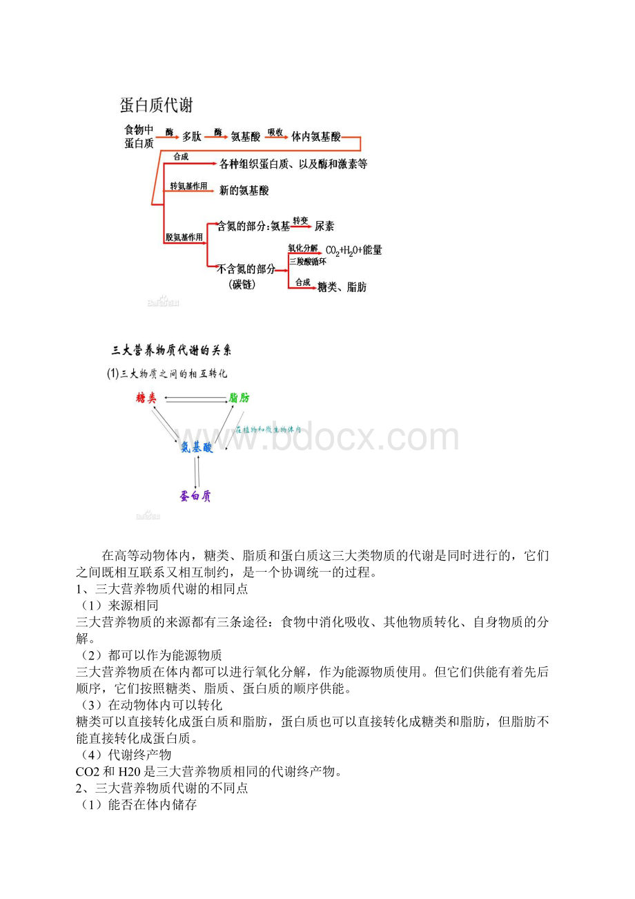 高中生物新课标版与大纲版差别内容Word格式.docx_第2页