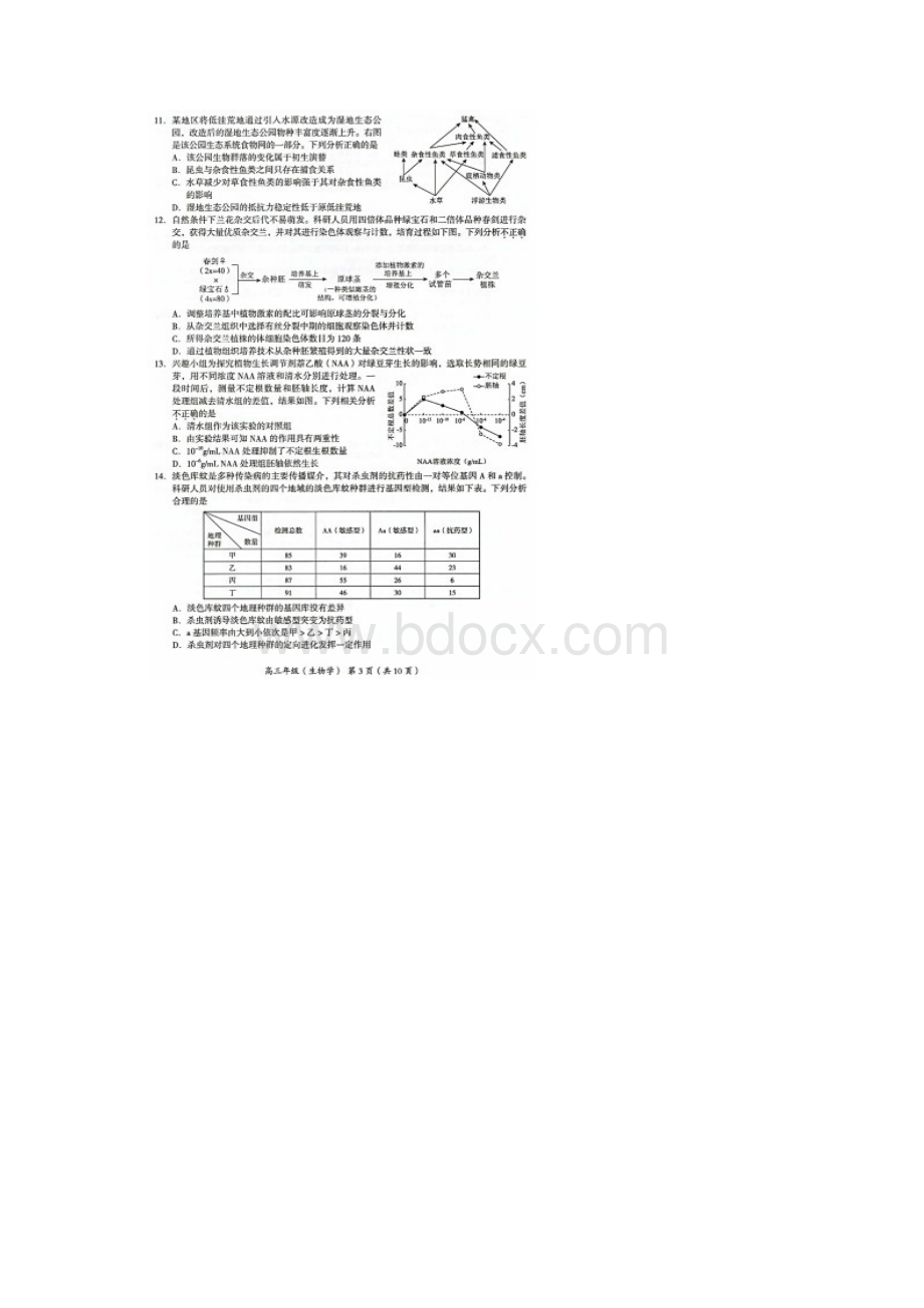 北京市海淀区届高三一模生物试题含答案解析Word格式.docx_第3页