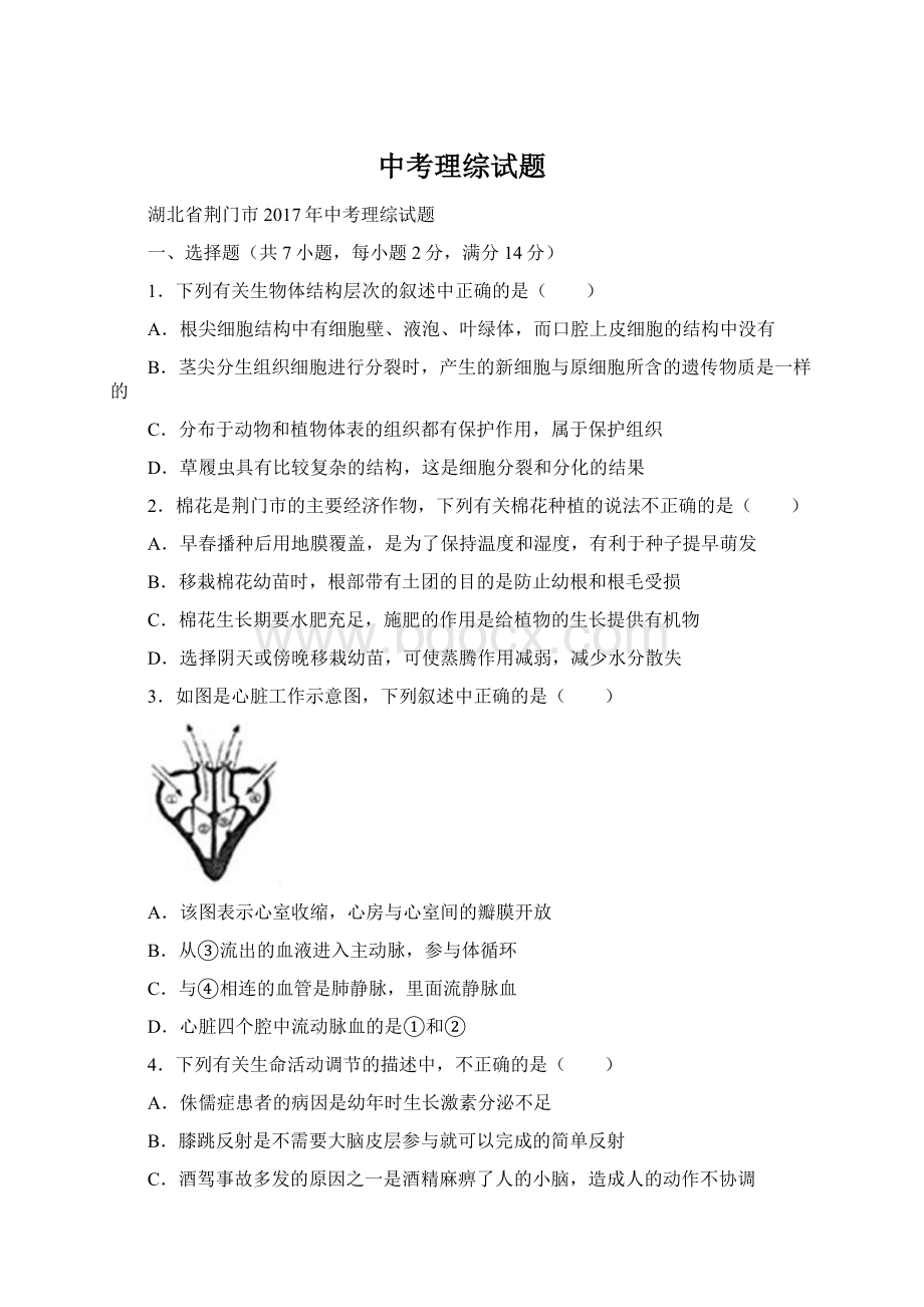 中考理综试题Word文档格式.docx