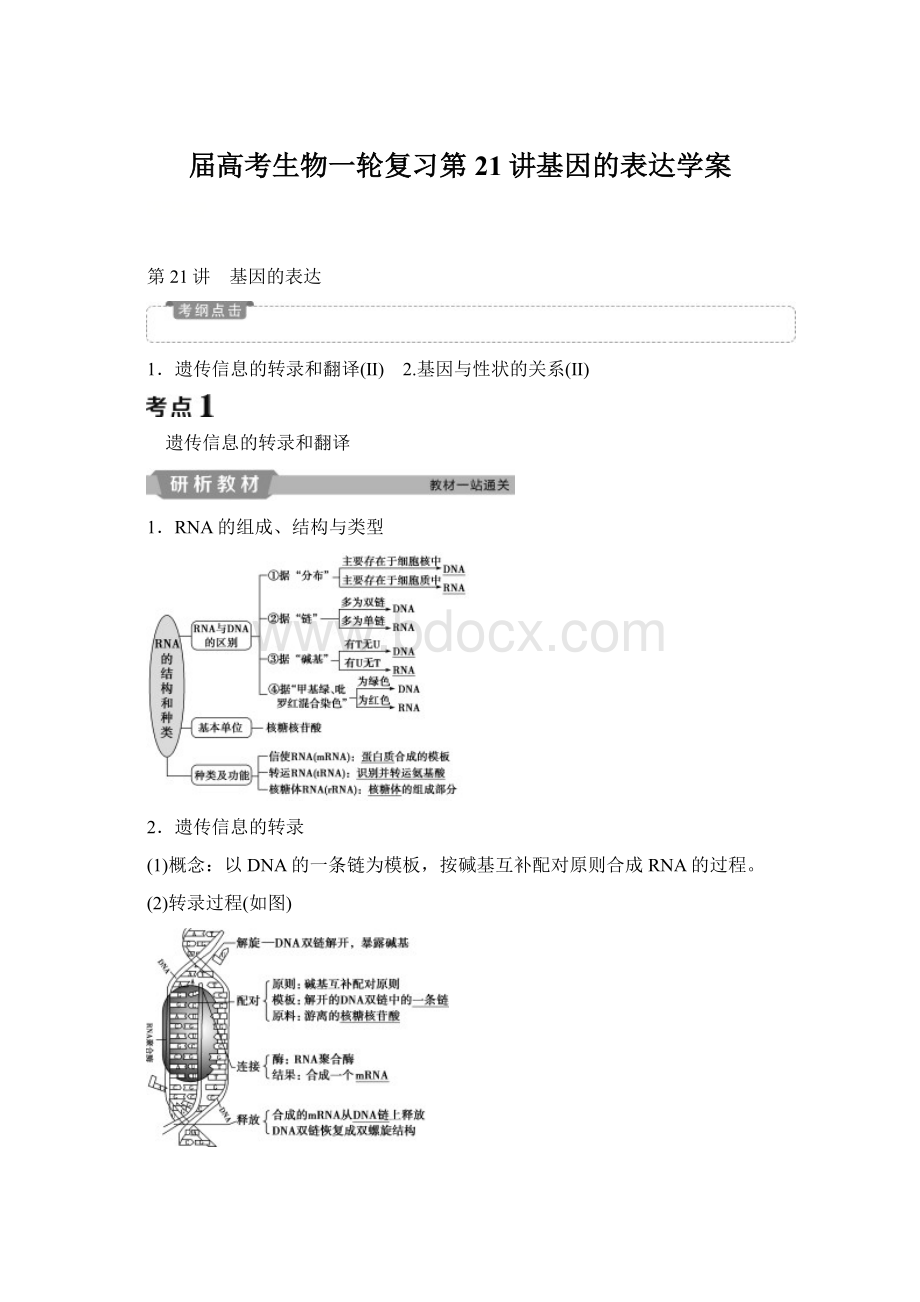 届高考生物一轮复习第21讲基因的表达学案Word文档格式.docx