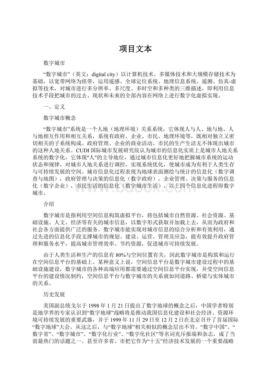 项目文本Word文档格式.docx