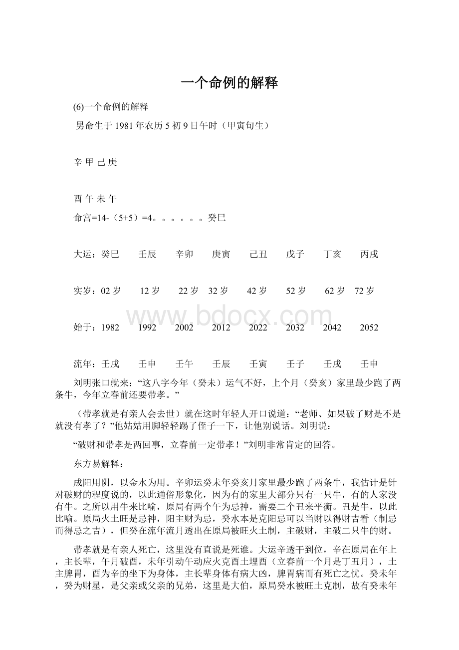 一个命例的解释文档格式.docx