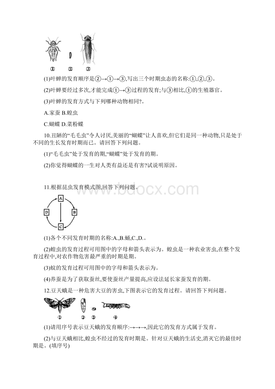 春八年级生物下册第七单元生物圈中生命的延续和发展第一章生物的生殖和发育第二节昆虫的生殖和发育知Word格式文档下载.docx_第3页