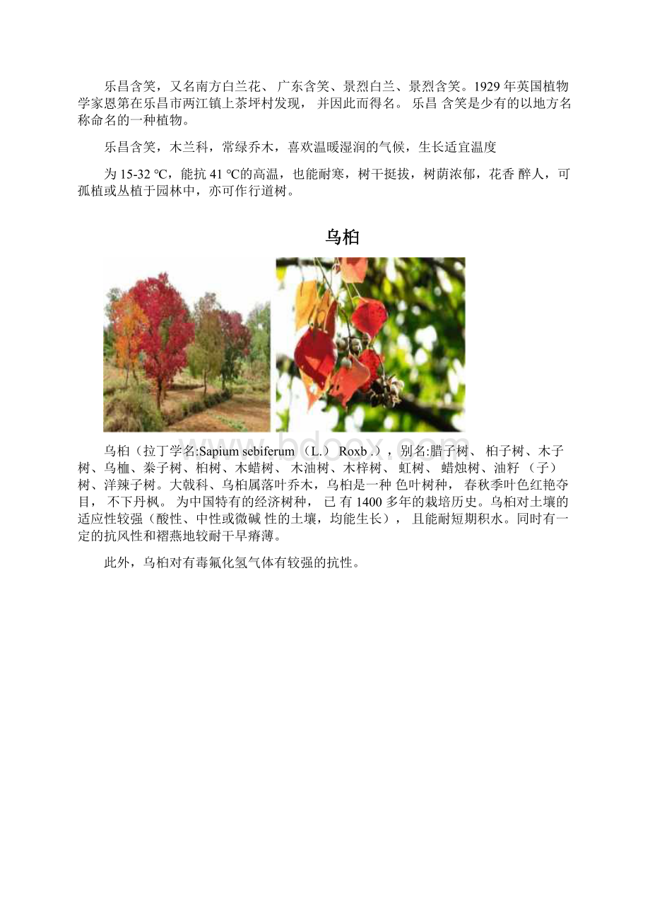 园林绿化常用乔木灌木.docx_第3页