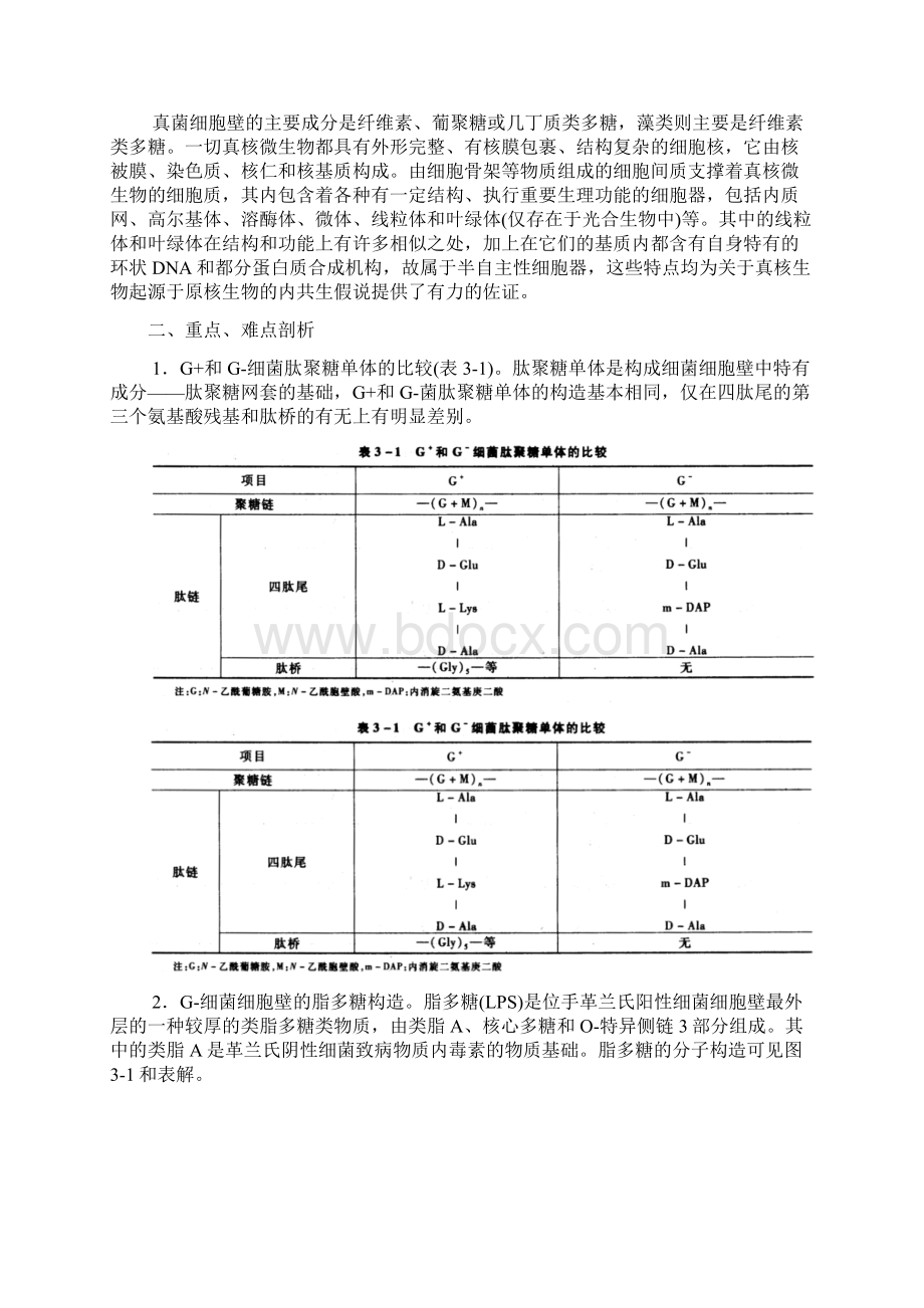 微生物学第三章微生物细胞的结构与功能山东大学期末考试知识点复习Word文档下载推荐.docx_第2页