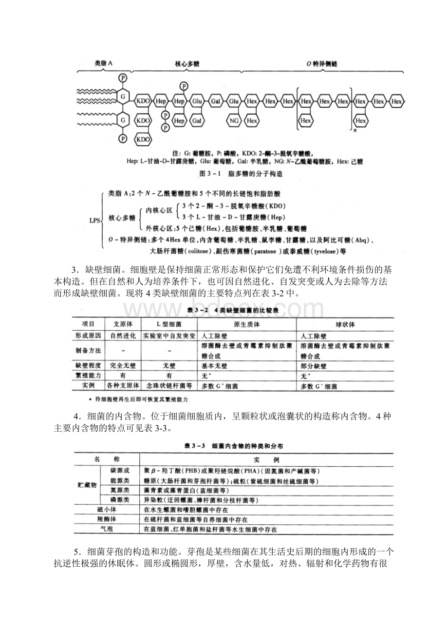 微生物学第三章微生物细胞的结构与功能山东大学期末考试知识点复习Word文档下载推荐.docx_第3页