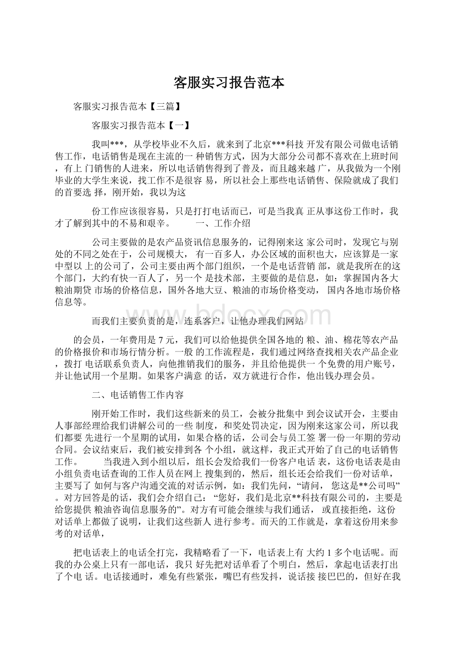 客服实习报告范本文档格式.docx