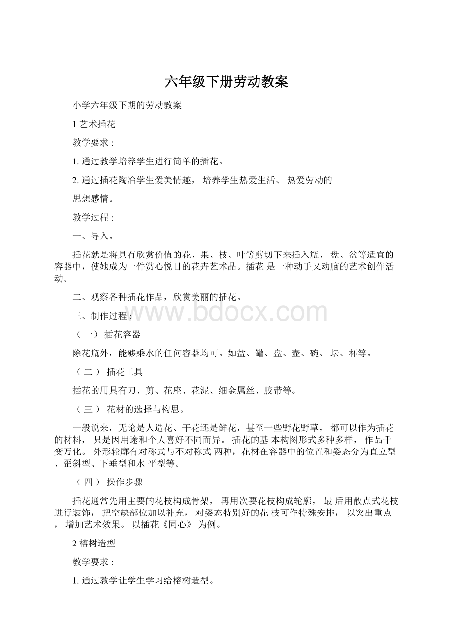 六年级下册劳动教案文档格式.docx