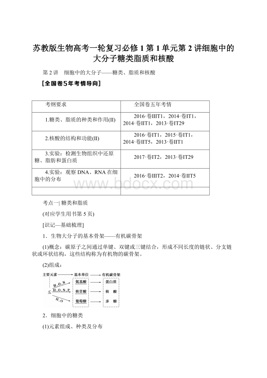 苏教版生物高考一轮复习必修1第1单元第2讲细胞中的大分子糖类脂质和核酸Word下载.docx_第1页