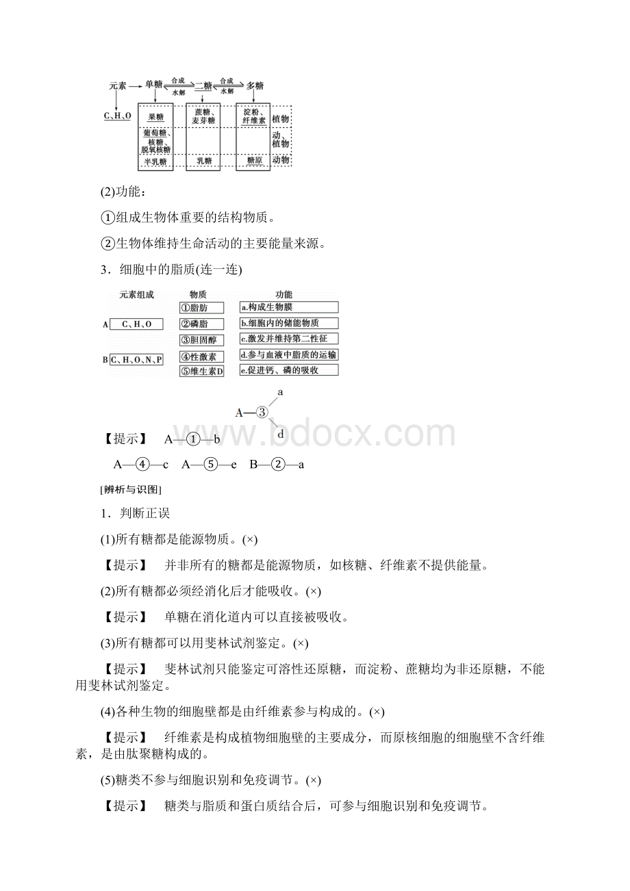 苏教版生物高考一轮复习必修1第1单元第2讲细胞中的大分子糖类脂质和核酸Word下载.docx_第2页