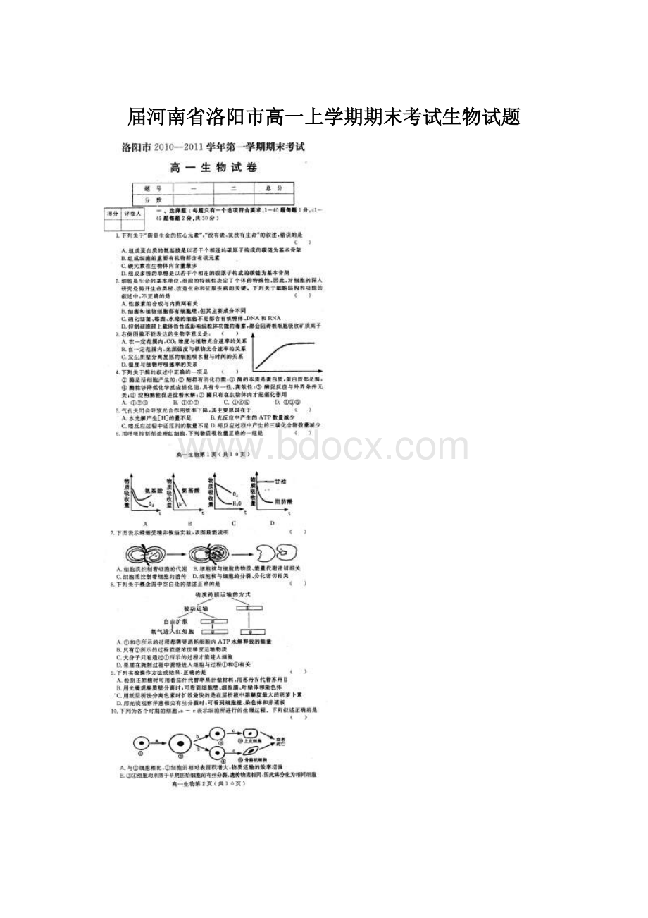 届河南省洛阳市高一上学期期末考试生物试题Word格式文档下载.docx_第1页