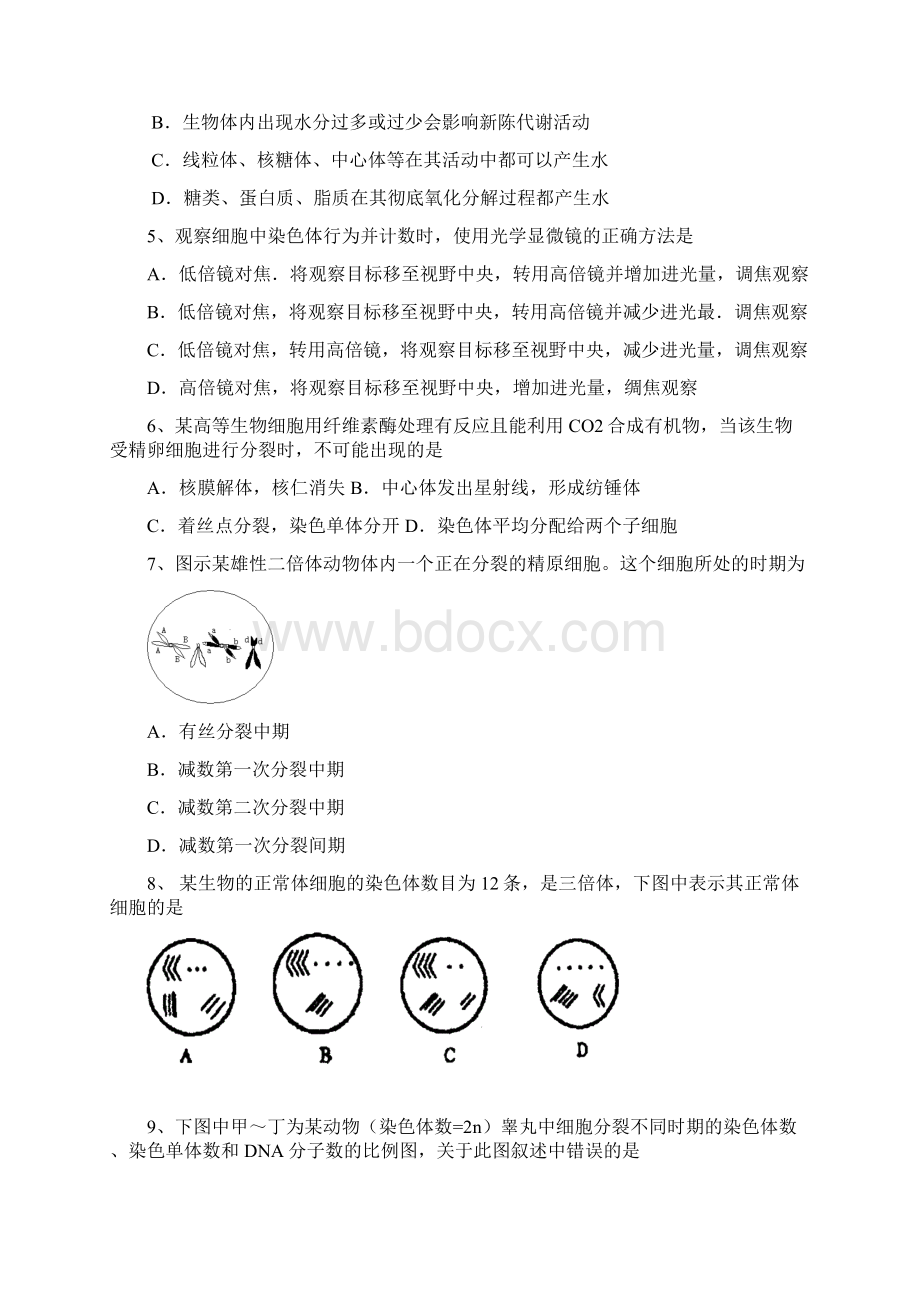 生命的物质基础结构基础细胞工程.docx_第2页