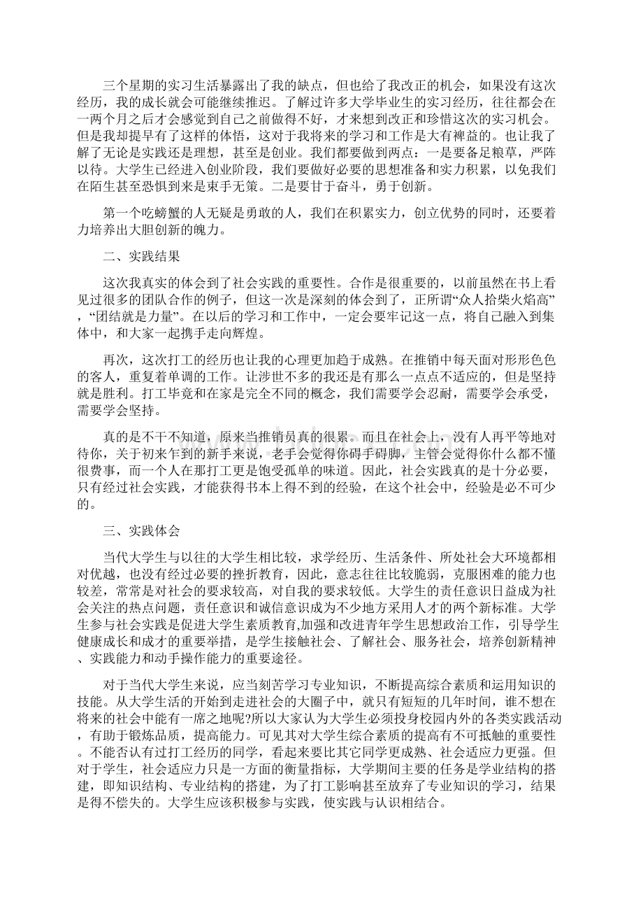 推销员实践报告范文3篇Word下载.docx_第2页