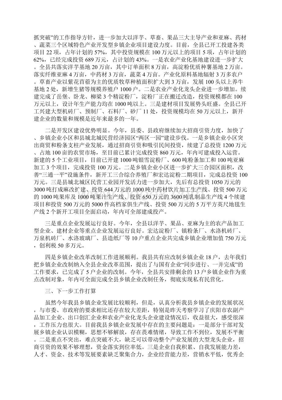 县长在乡镇企业汇报会发言与县长在乡镇振兴动员会发言汇编Word格式文档下载.docx_第2页