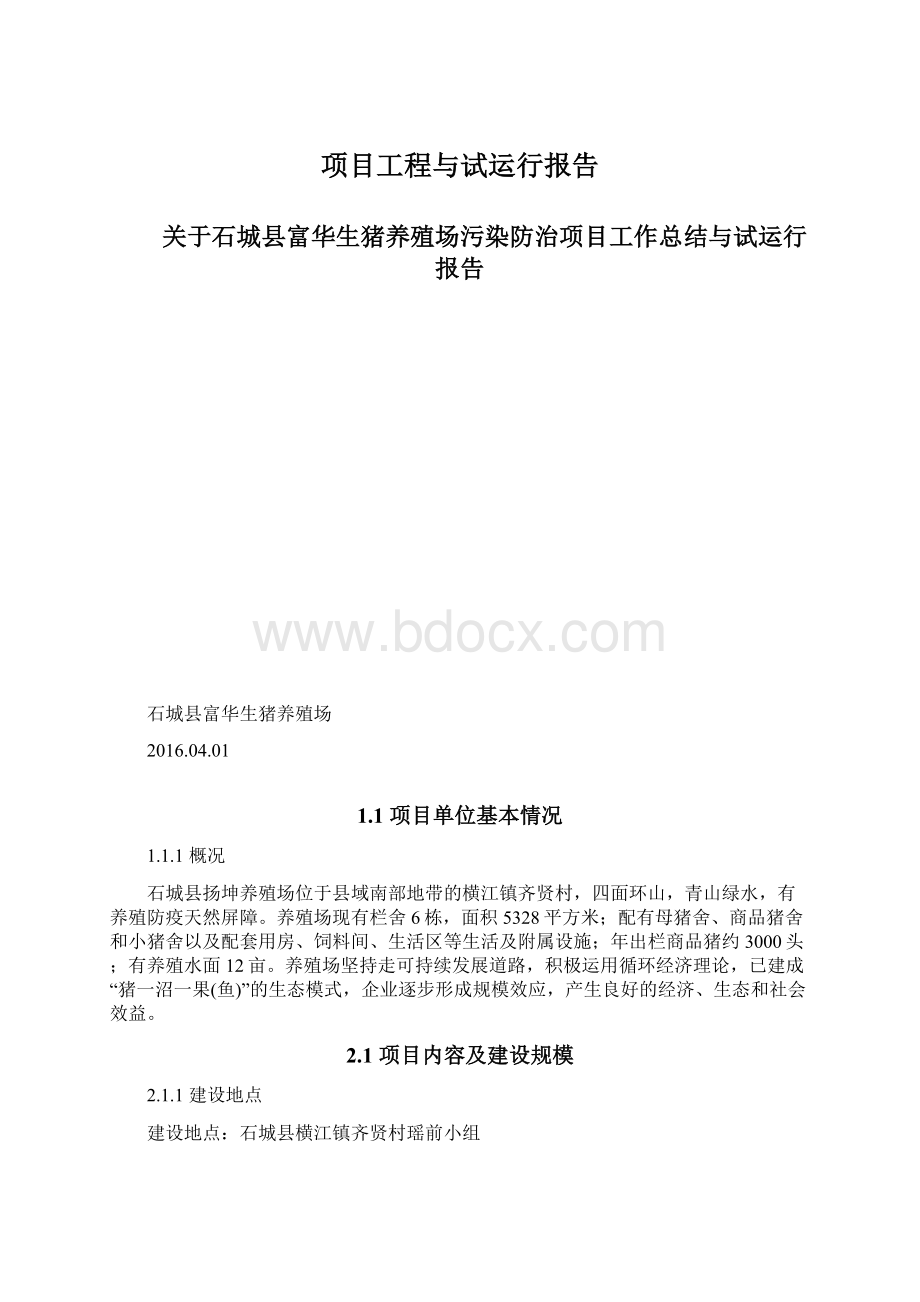 项目工程与试运行报告.docx