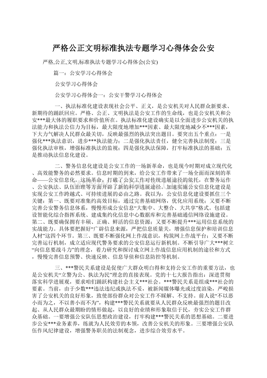 严格公正文明标准执法专题学习心得体会公安.docx