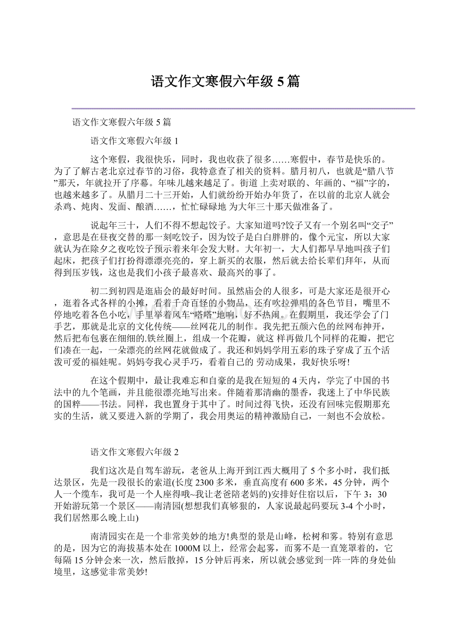 语文作文寒假六年级5篇.docx