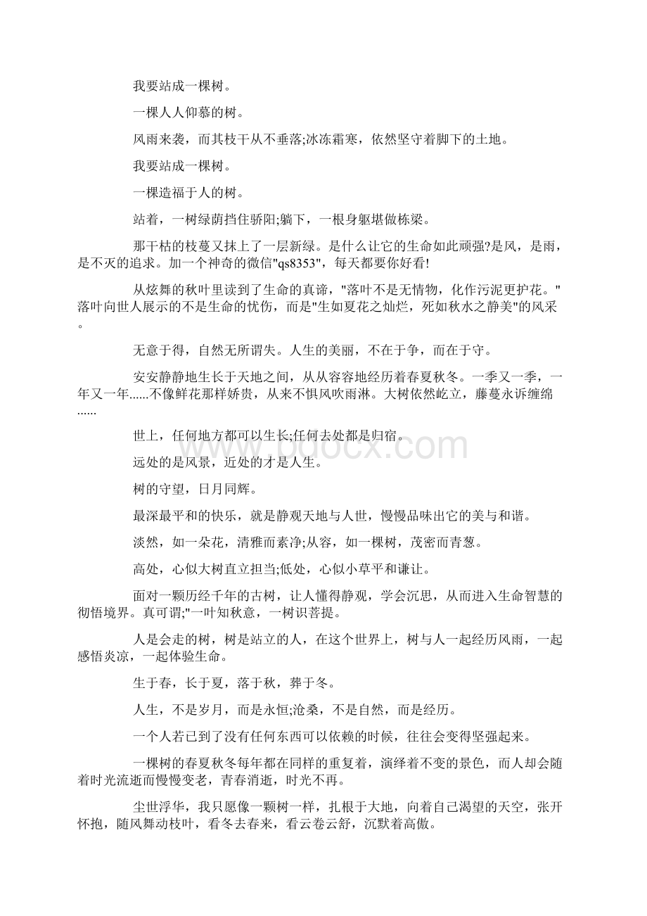 关于大树的经典励志文章doc.docx_第2页