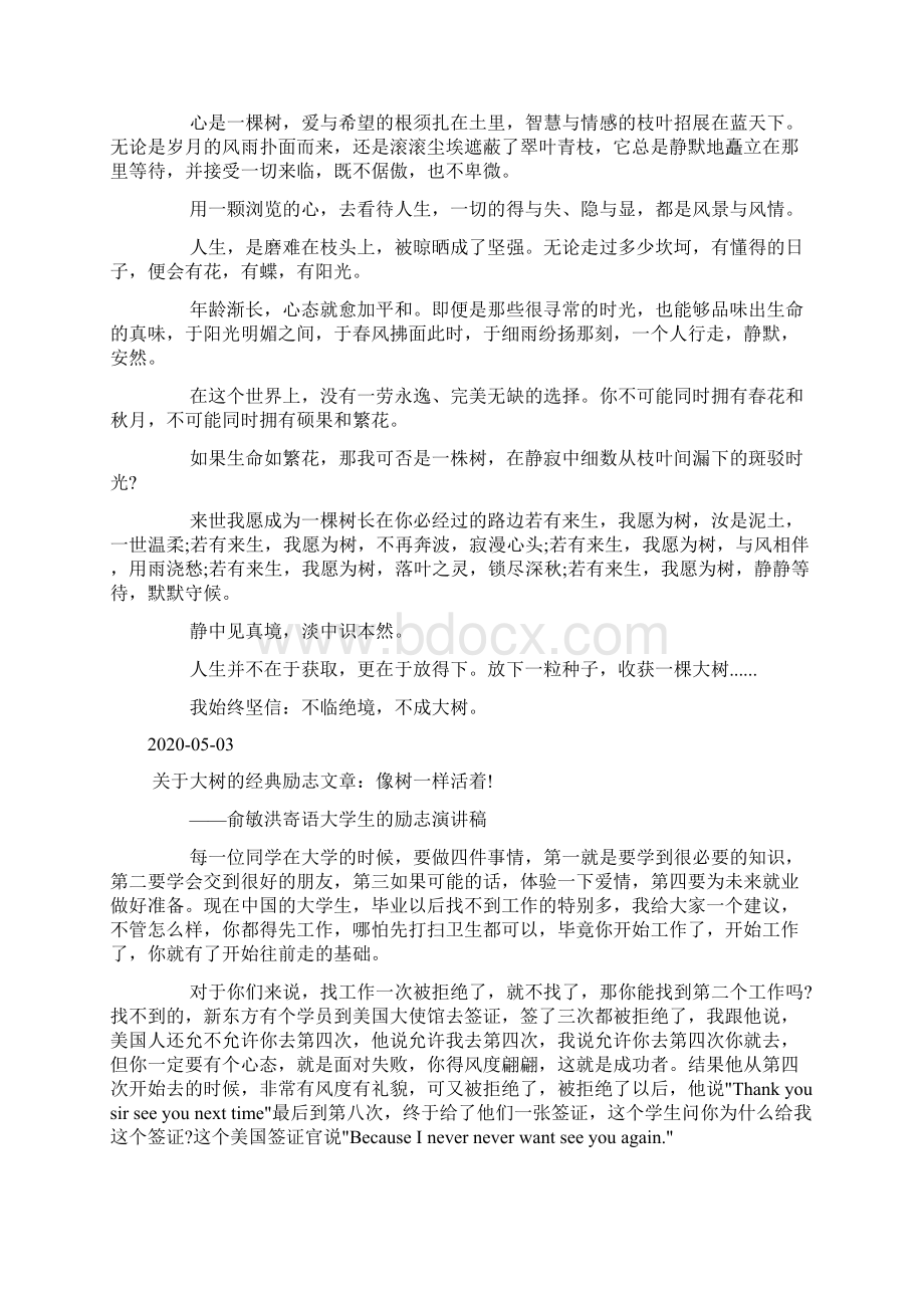 关于大树的经典励志文章doc.docx_第3页