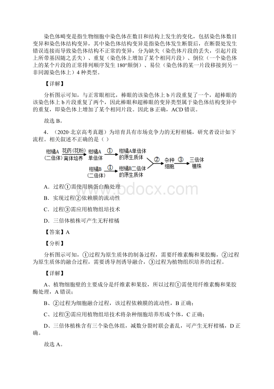 高考生物三年高考真题及模拟题分类汇编专题08变异育种及人类遗传病.docx_第3页