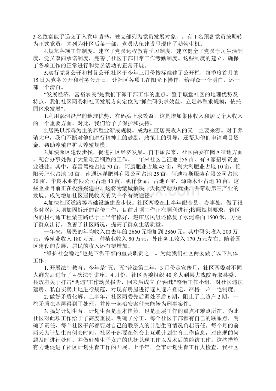 XX年关于第一书记述职述廉报告.docx_第2页