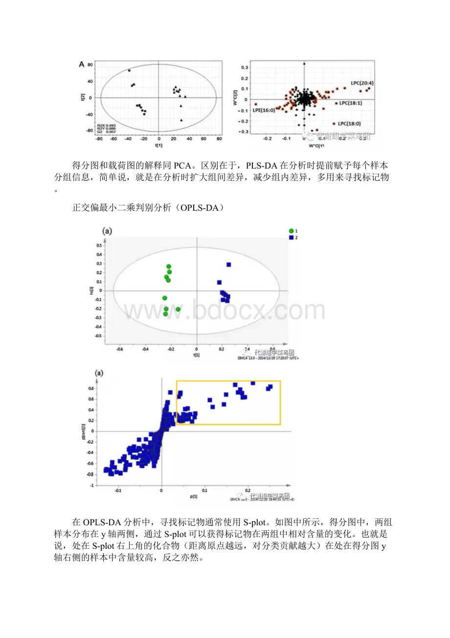 代谢组学小常识.docx_第3页