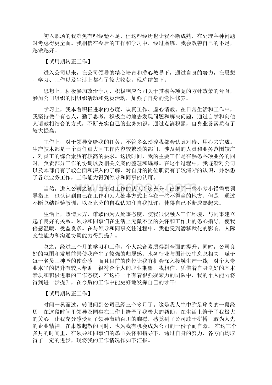 试用期转正工作总结范文.docx_第3页