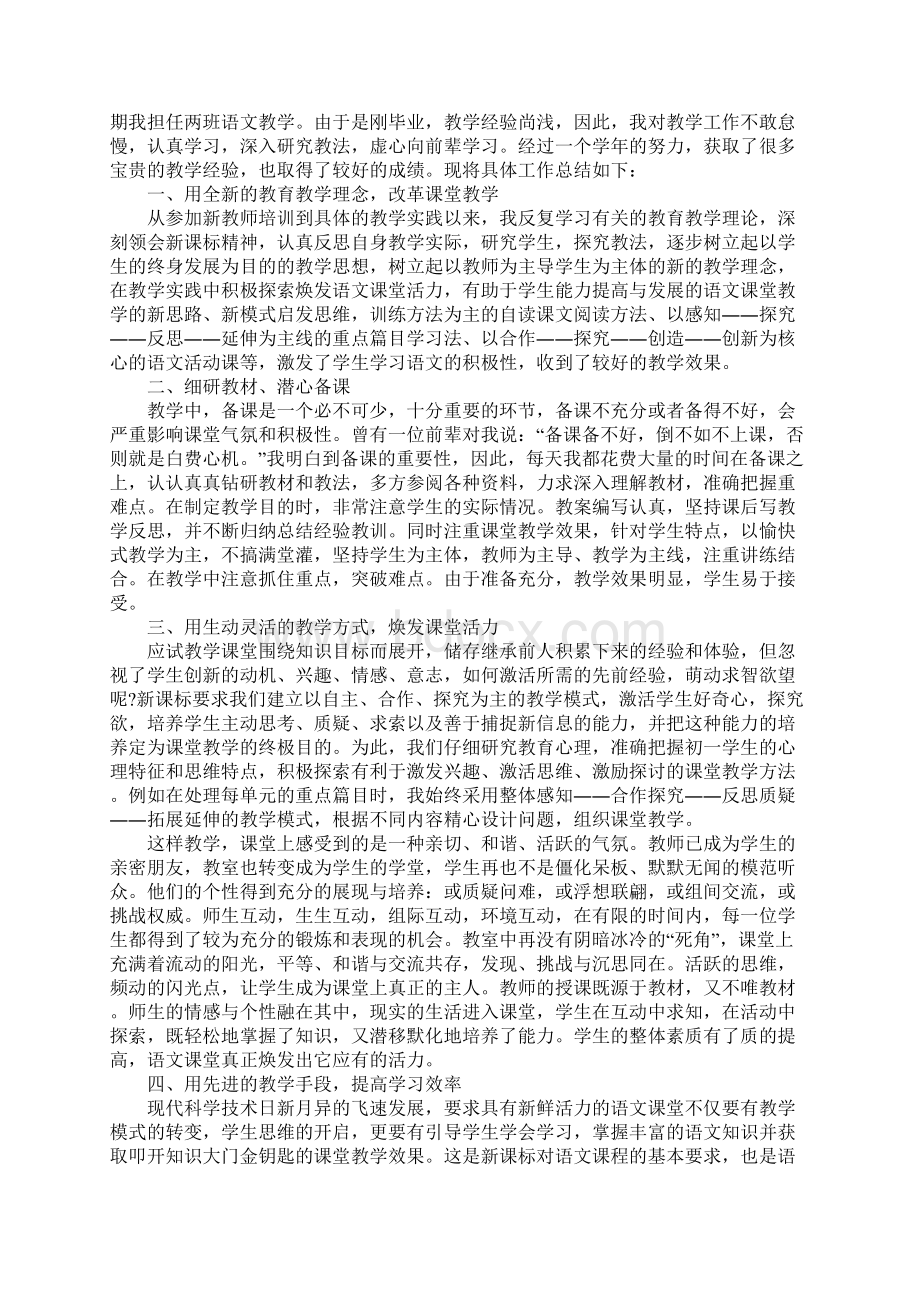 教师个人的工作总结.docx_第2页