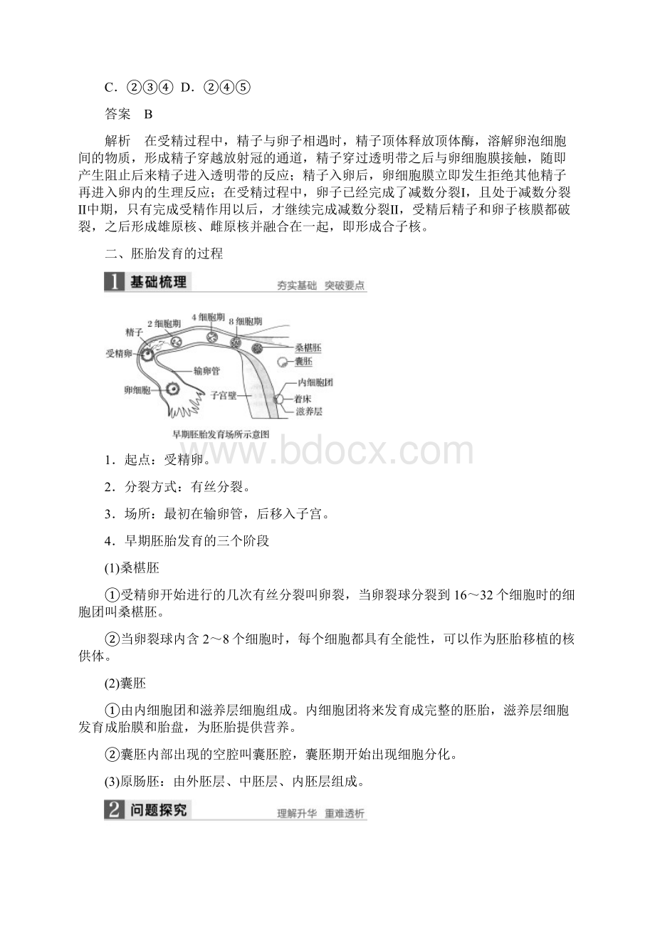 高中生物第2章胚胎工程第1节胚胎工程的理论基础第2课时胚胎的发育同步备课教学案北师大选修3Word格式.docx_第3页