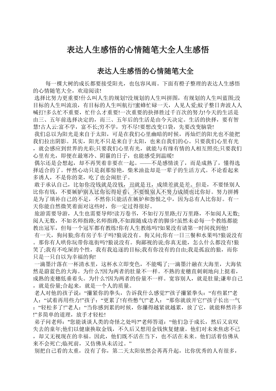 表达人生感悟的心情随笔大全人生感悟Word下载.docx_第1页