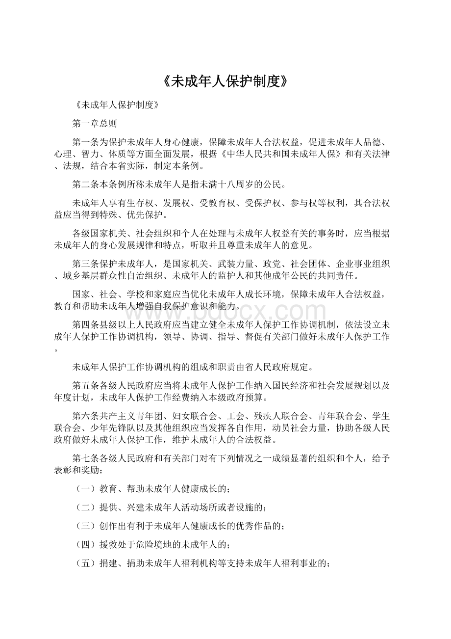 《未成年人保护制度》文档格式.docx