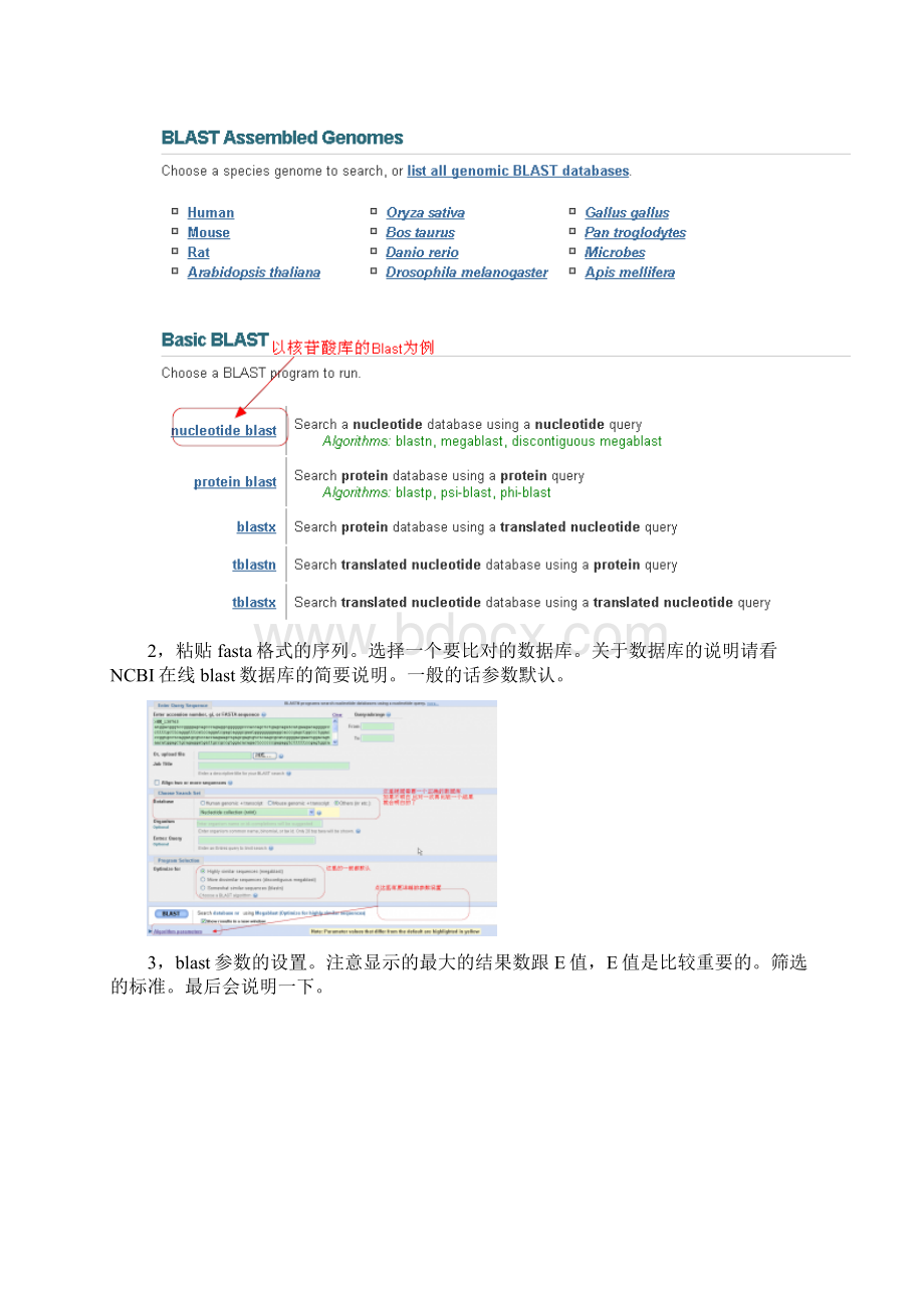 NCBI在线BLAST使用方法与结果详解.docx_第2页