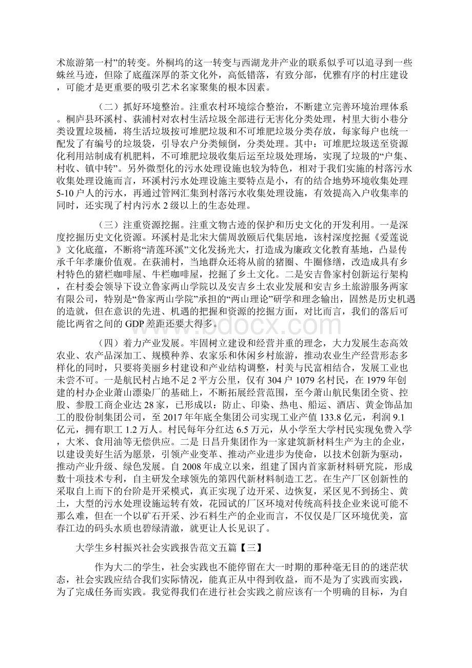 大学生乡村振兴社会实践报告范文五篇Word文档下载推荐.docx_第2页